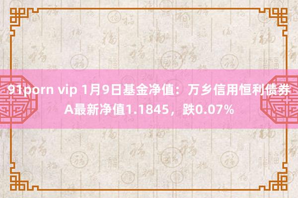 91porn vip 1月9日基金净值：万乡信用恒利债券A最新净值1.1845，跌0.07%