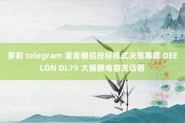 萝莉 telegram 灌音棚招投标模式决策筹算 DEELON DL79 大振膜电容发话器