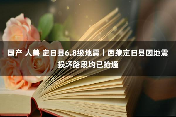 国产 人兽 定日县6.8级地震丨西藏定日县因地震损坏路段均已抢通