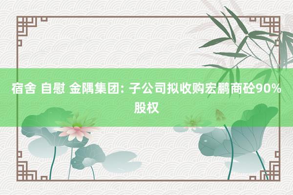 宿舍 自慰 金隅集团: 子公司拟收购宏鹏商砼90%股权