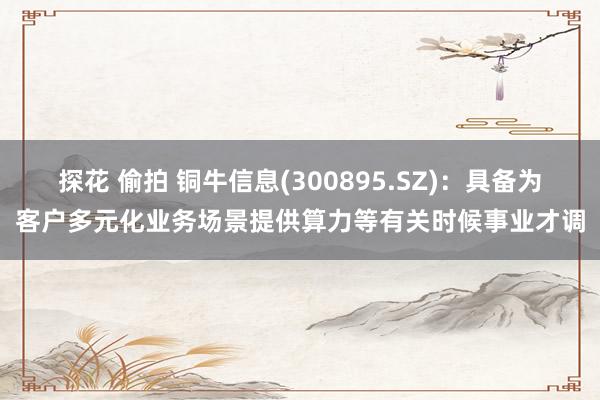 探花 偷拍 铜牛信息(300895.SZ)：具备为客户多元化业务场景提供算力等有关时候事业才调