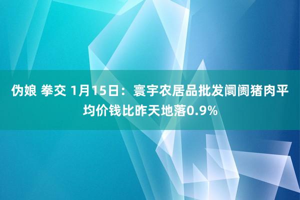 伪娘 拳交 1月15日：寰宇农居品批发阛阓猪肉平均价钱比昨天地落0.9%