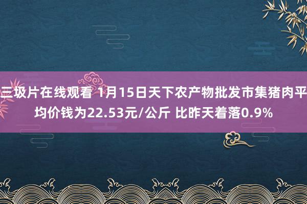 三圾片在线观看 1月15日天下农产物批发市集猪肉平均价钱为22.53元/公斤 比昨天着落0.9%